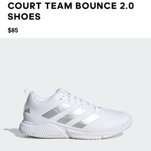 Volleyball Court Shoes